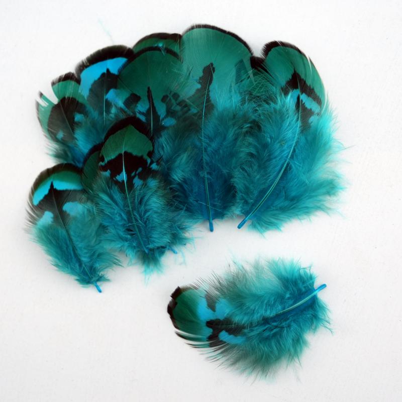 Wedding Supply Bulk - Bulu Burung Pheasant Alami Warna Biru