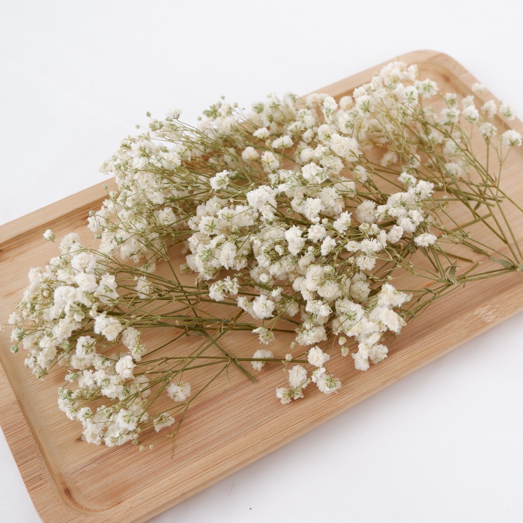 Flower Girl Basket - Bunga Kering Putih Mini Gypsophila Bunga