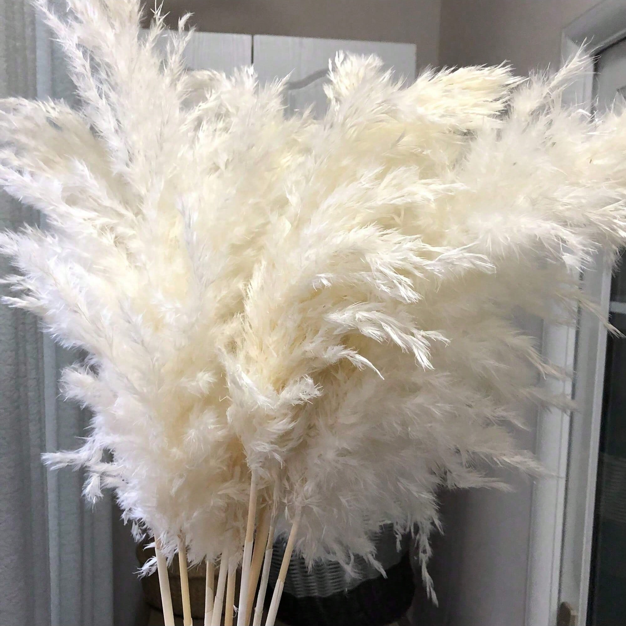 Flower Girl Basket - 10/20/30 Buah Dekorasi Rumput Pampas Buatan
