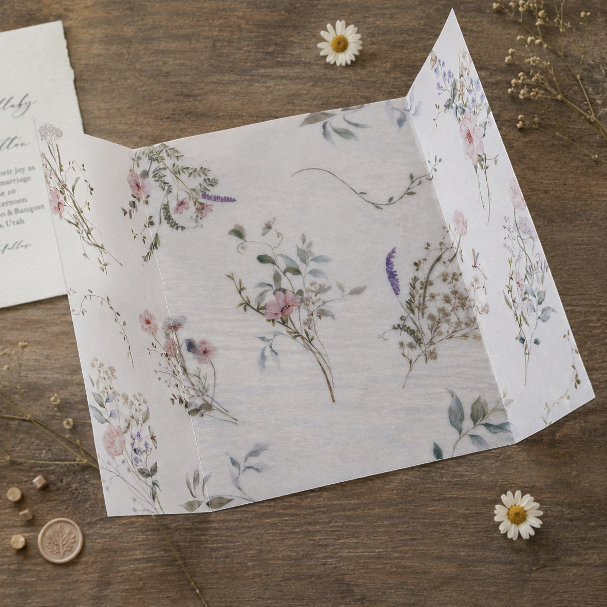 20/50 Buah Pembungkus Vellum d - Wedding Envelopes ulasan dan harga
