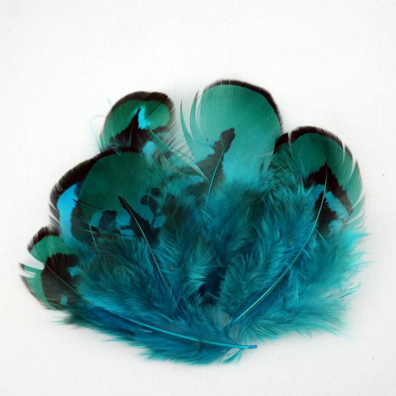 Bulu Burung Pheasant Alami War - Wedding Supply Bulk ulasan dan harga