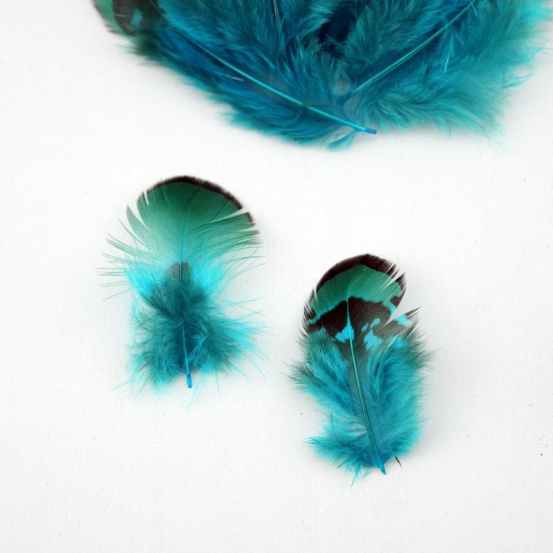 Bulu Burung Pheasant Alami War - Wedding Supply Bulk ulasan dan harga