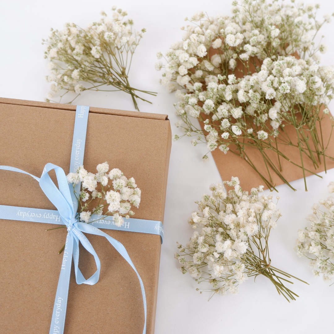 Bunga Kering Putih Mini Gypsop - Flower Girl Basket ulasan dan harga