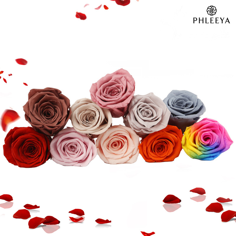 6 Buah Kepala Bunga Mawar Abad - Wedding Supply Bulk ulasan dan harga